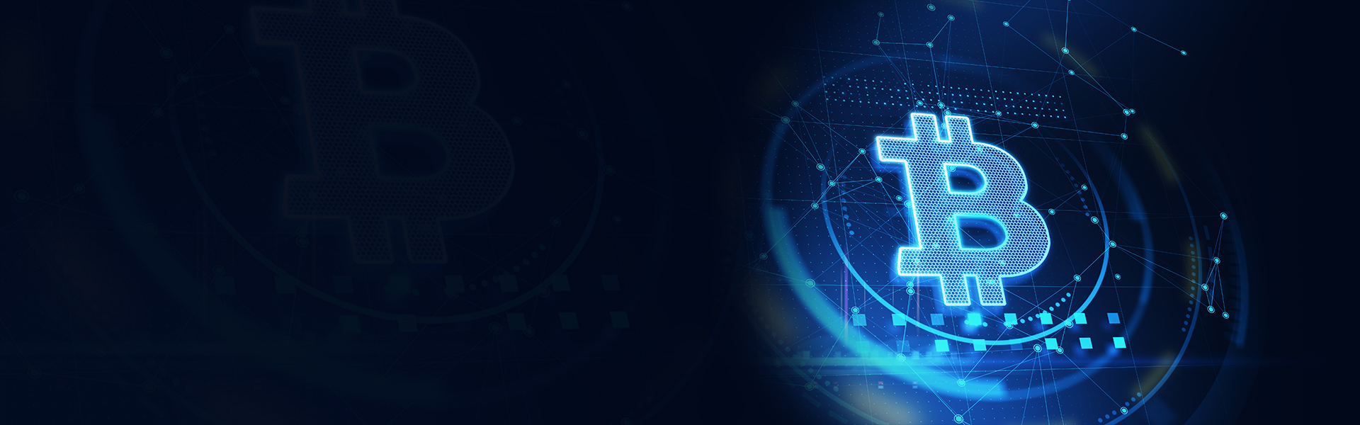 wdc-quantify-page-head