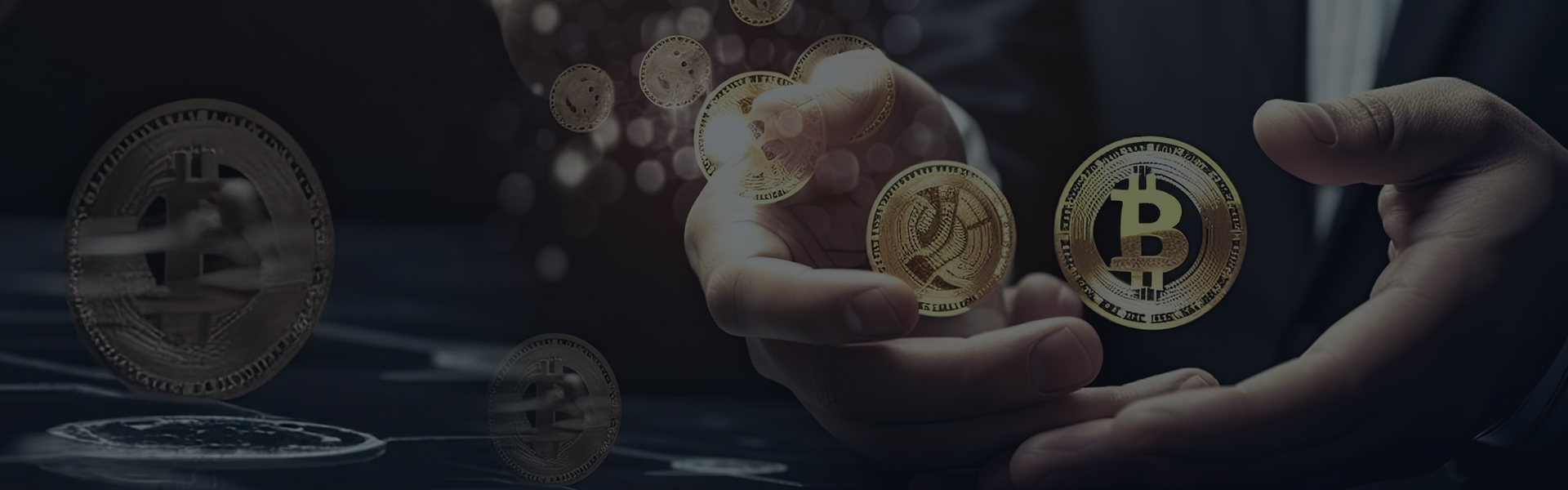 wdc-quantify-page-head