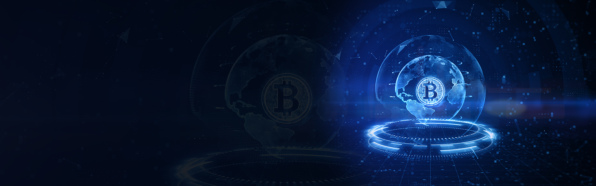 wdc-quantify-page-head